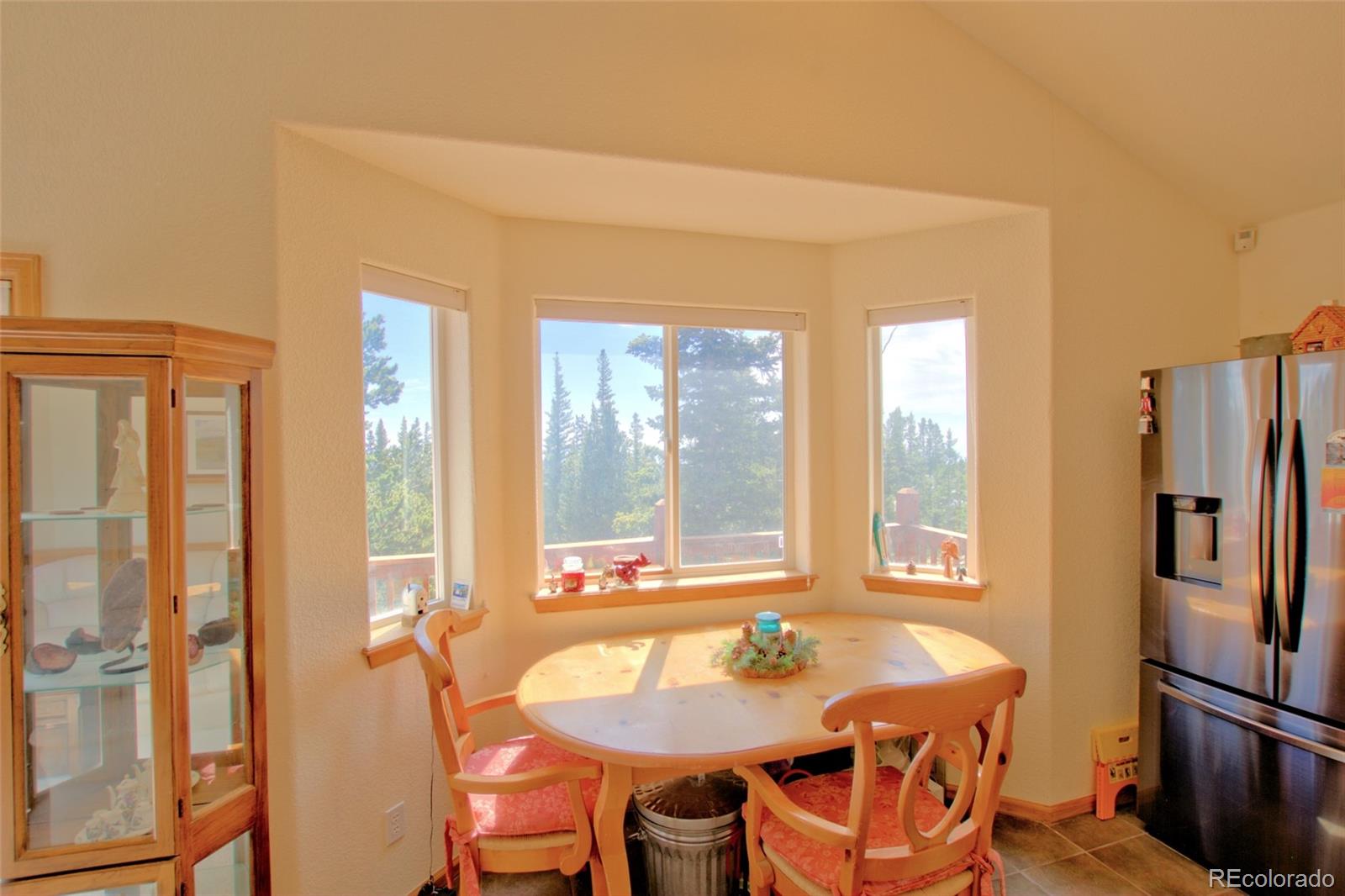 MLS Image #18 for 369  prunes place,fairplay, Colorado