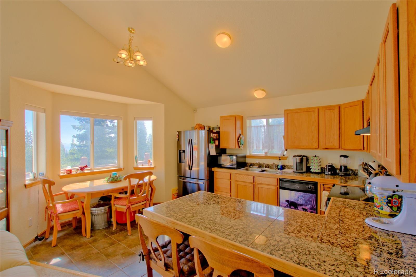 MLS Image #20 for 369  prunes place,fairplay, Colorado