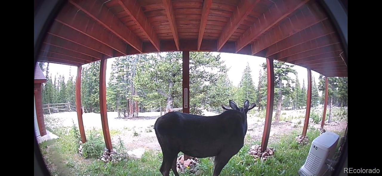 MLS Image #23 for 369  prunes place,fairplay, Colorado