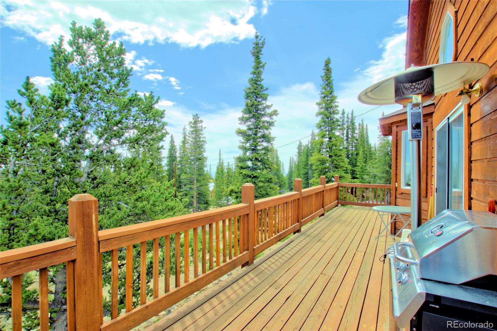 MLS Image #24 for 369  prunes place,fairplay, Colorado