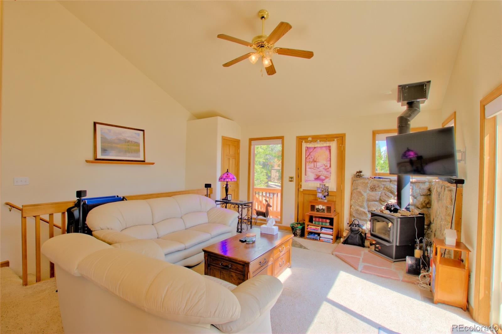 MLS Image #28 for 369  prunes place,fairplay, Colorado
