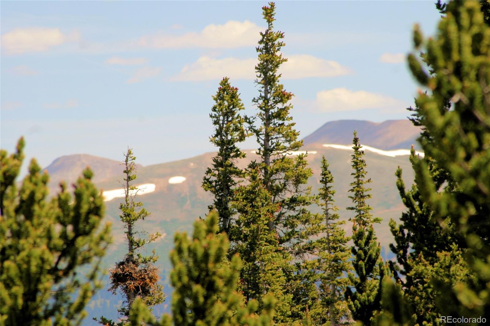 MLS Image #29 for 369  prunes place,fairplay, Colorado