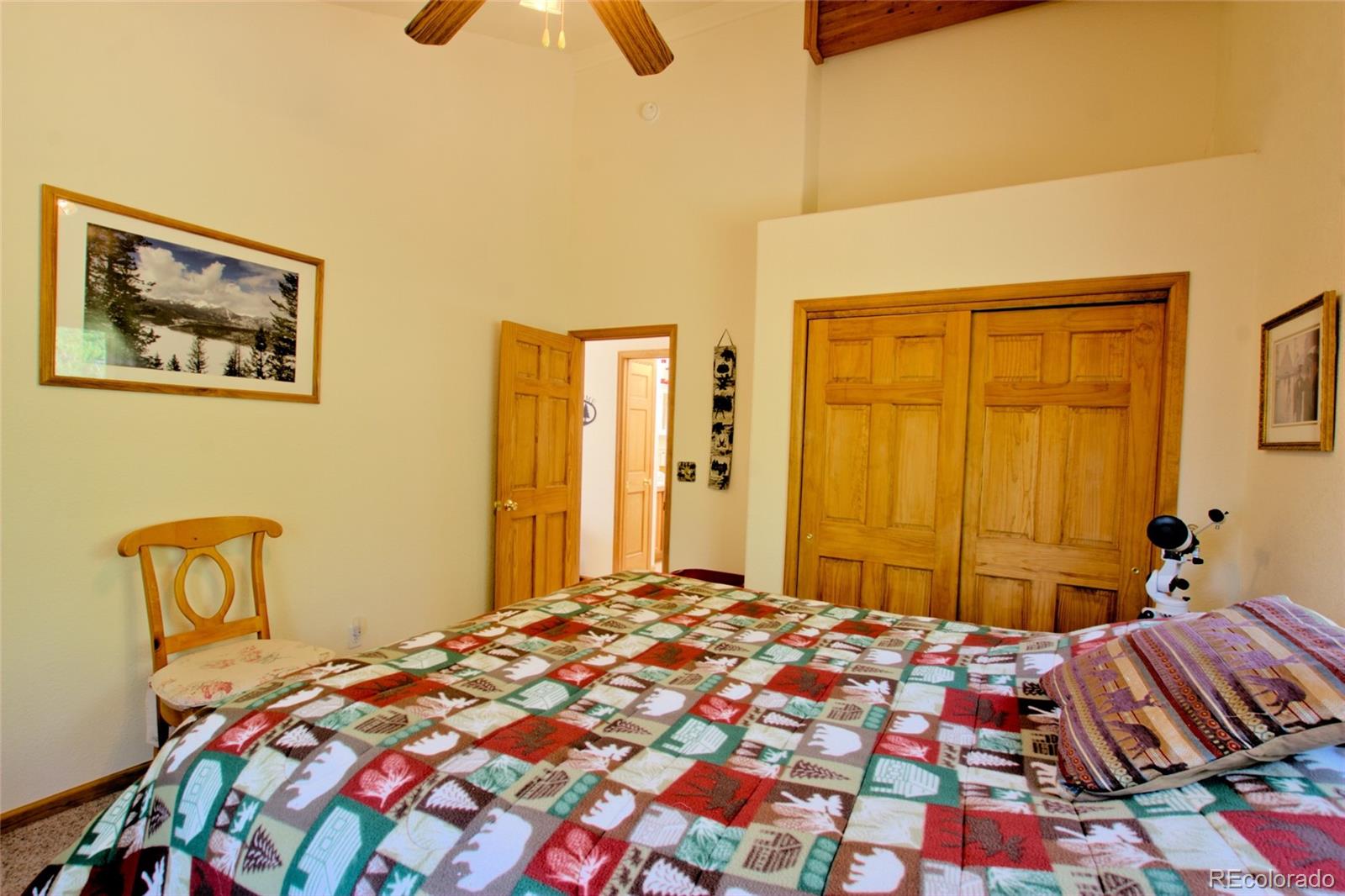MLS Image #31 for 369  prunes place,fairplay, Colorado