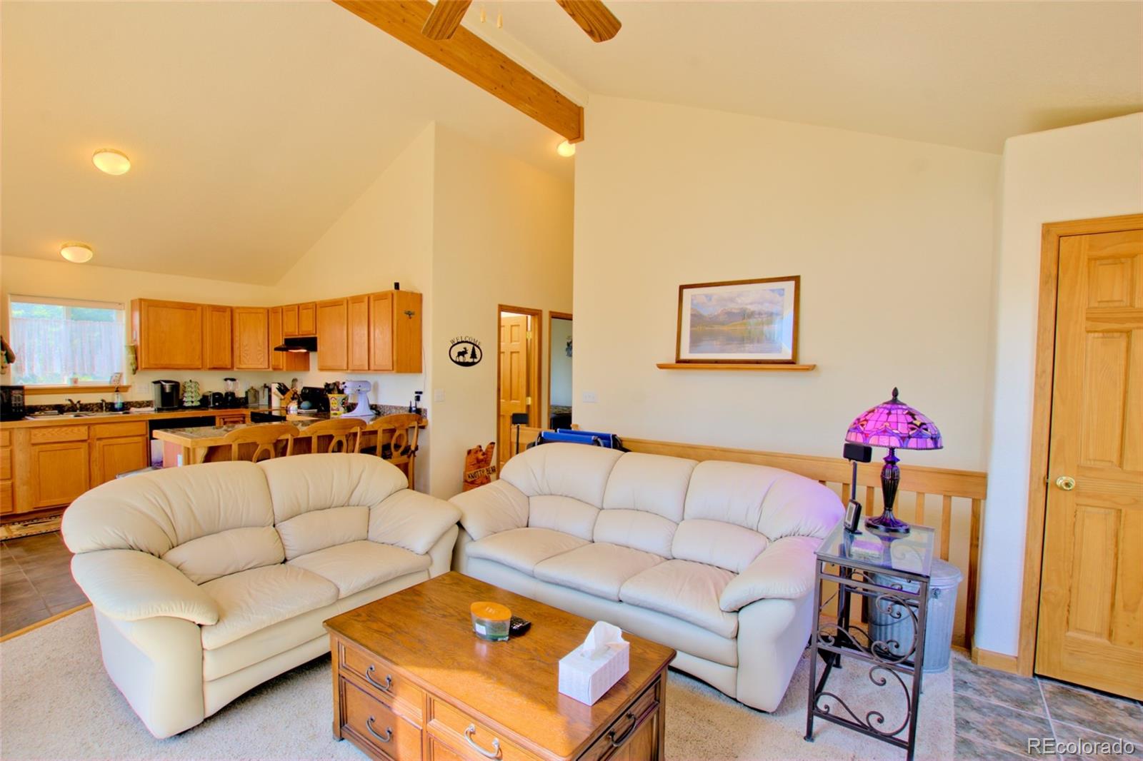 MLS Image #32 for 369  prunes place,fairplay, Colorado
