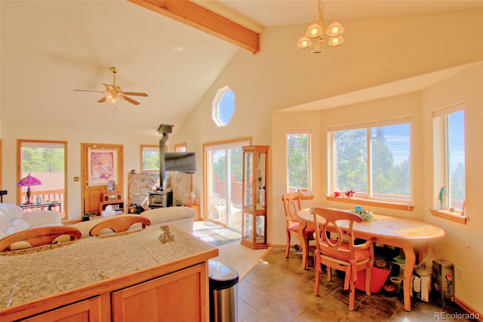 MLS Image #33 for 369  prunes place,fairplay, Colorado