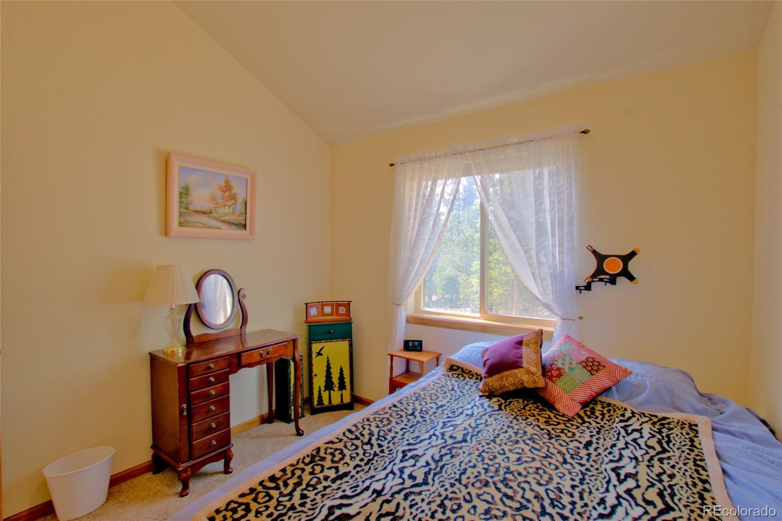 MLS Image #36 for 369  prunes place,fairplay, Colorado
