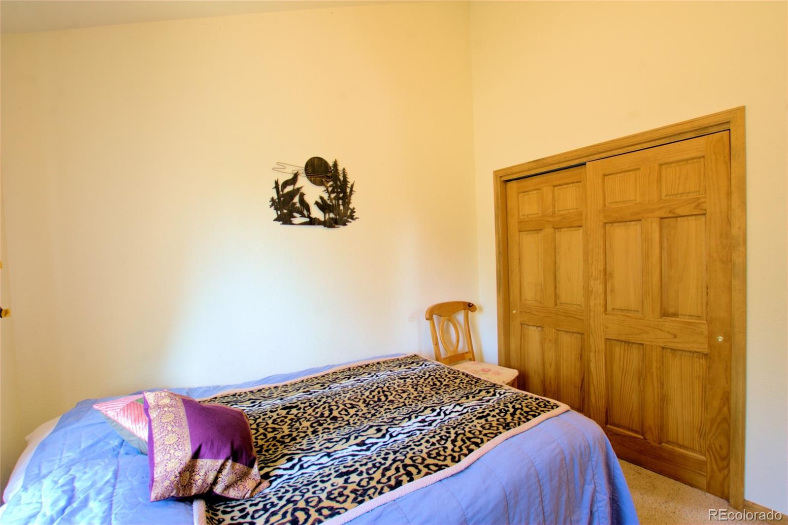 MLS Image #37 for 369  prunes place,fairplay, Colorado
