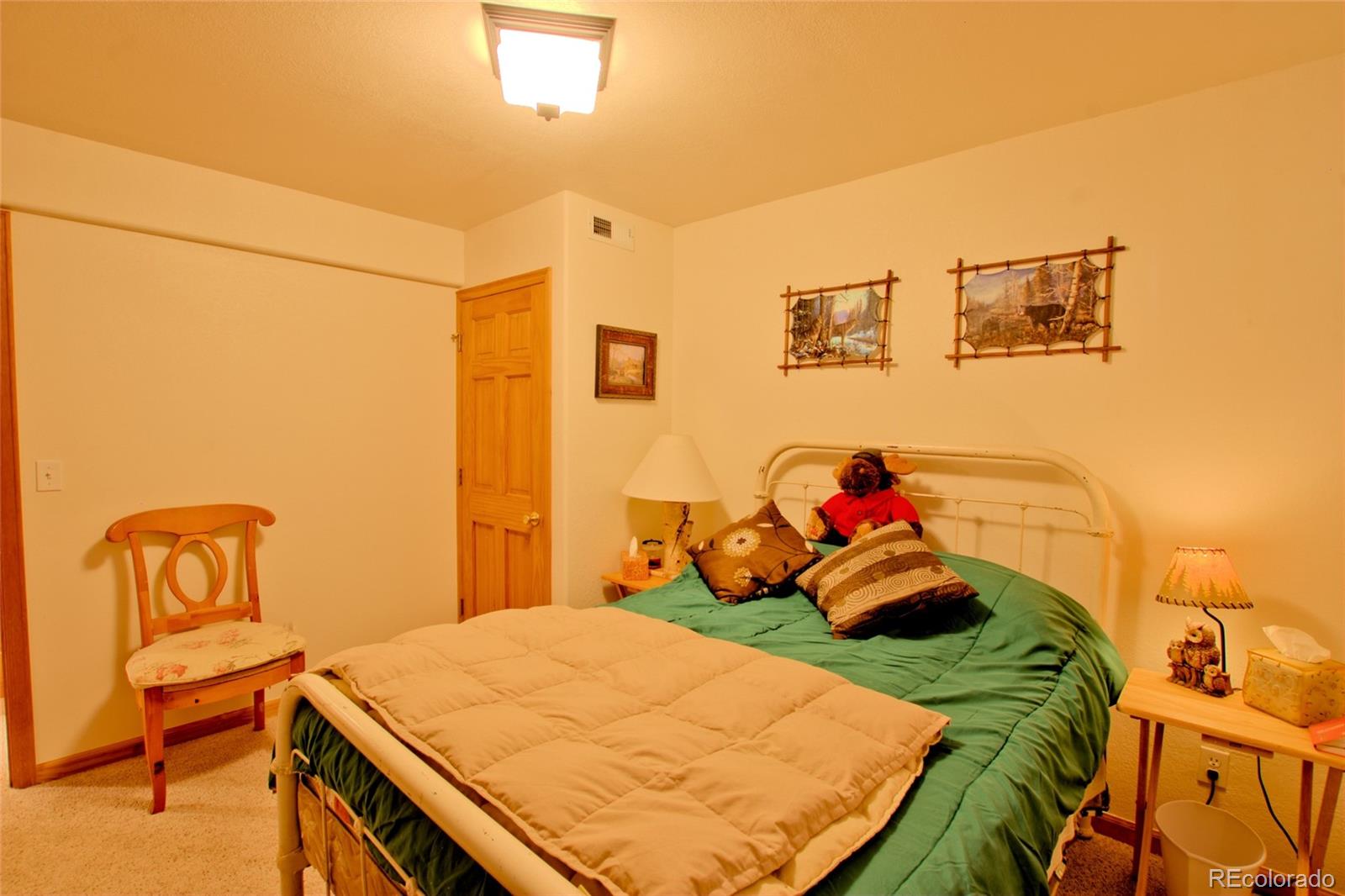 MLS Image #38 for 369  prunes place,fairplay, Colorado