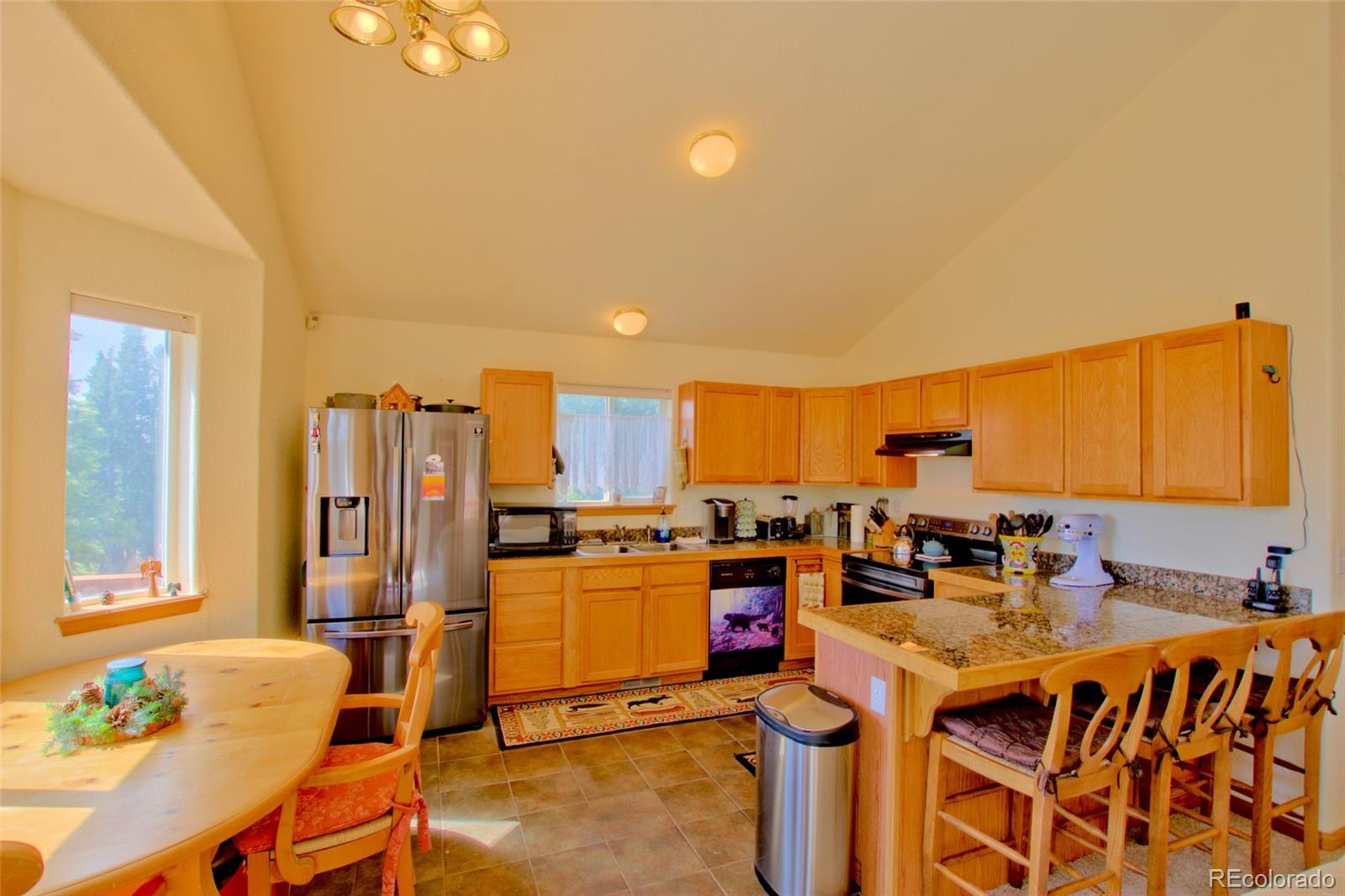 MLS Image #4 for 369  prunes place,fairplay, Colorado