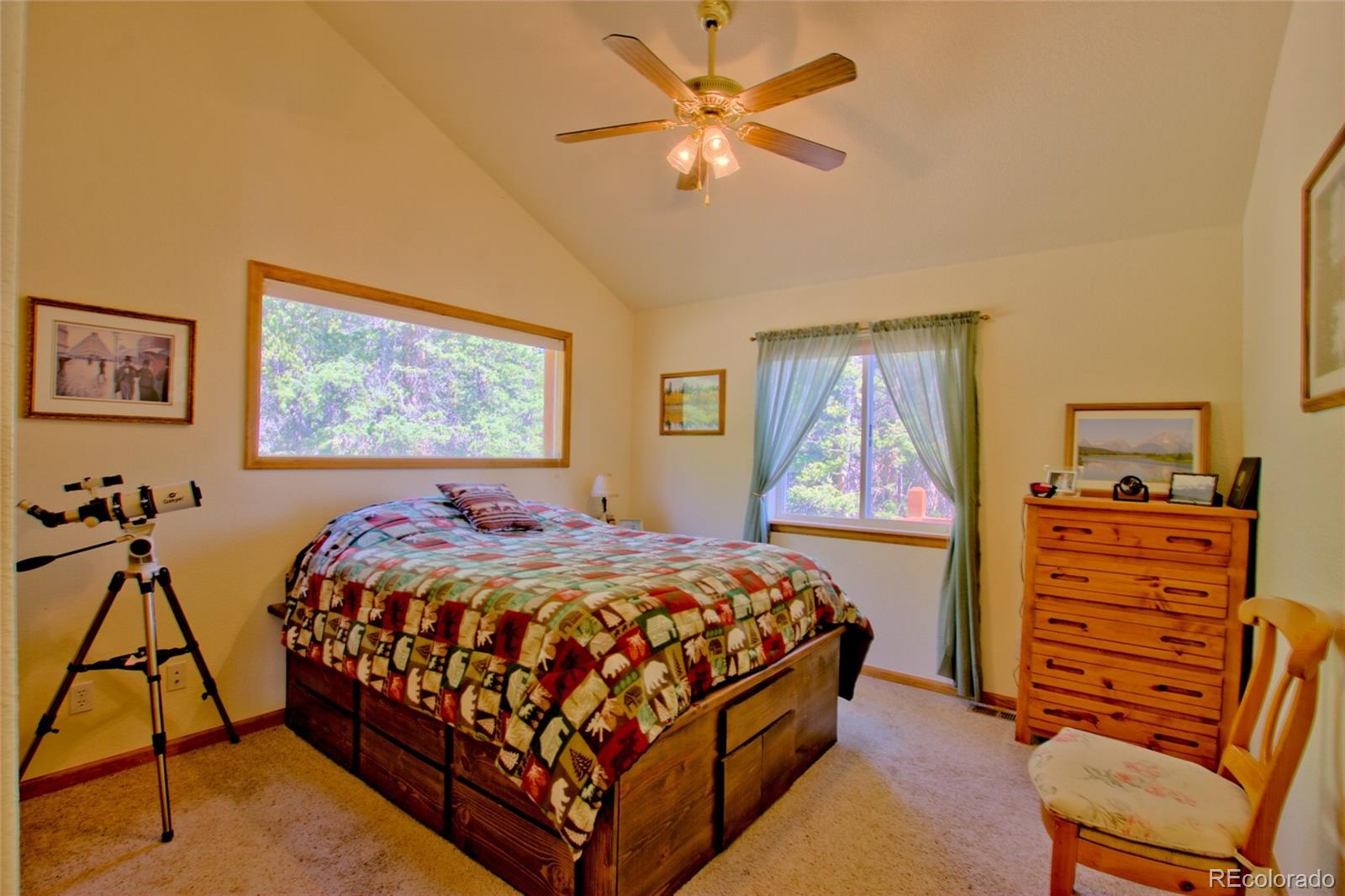 MLS Image #6 for 369  prunes place,fairplay, Colorado