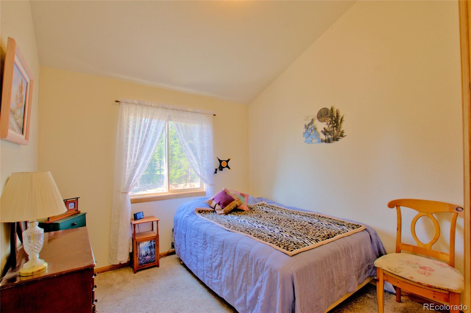 MLS Image #8 for 369  prunes place,fairplay, Colorado
