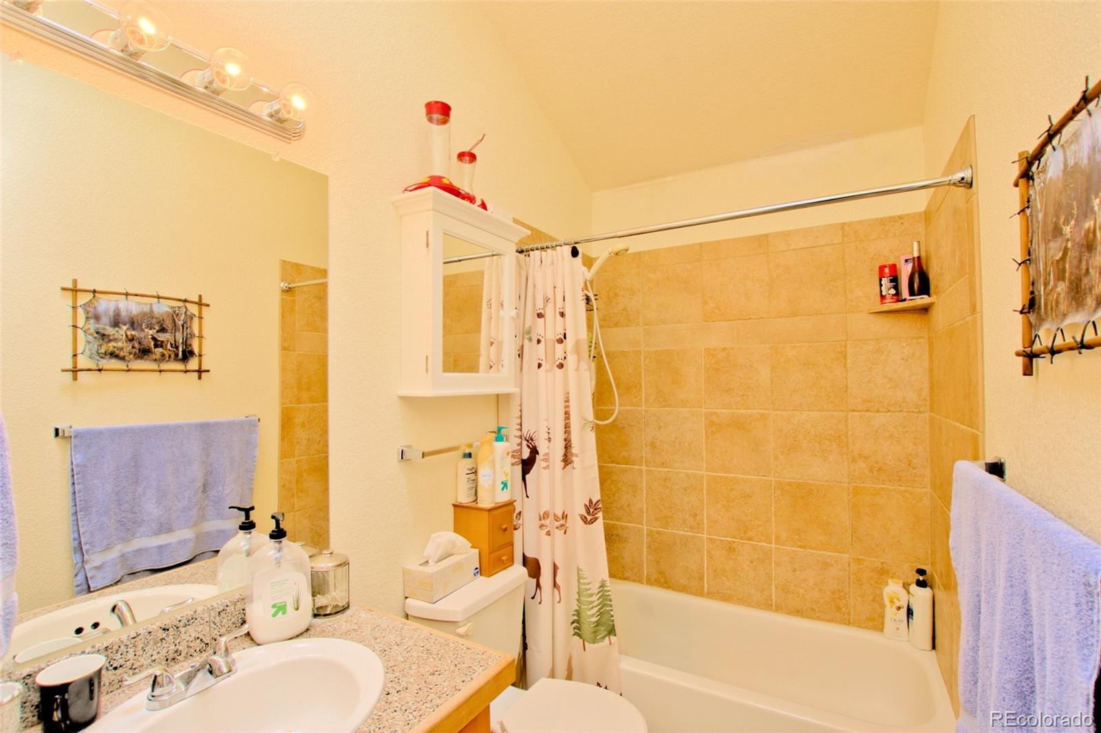 MLS Image #9 for 369  prunes place,fairplay, Colorado