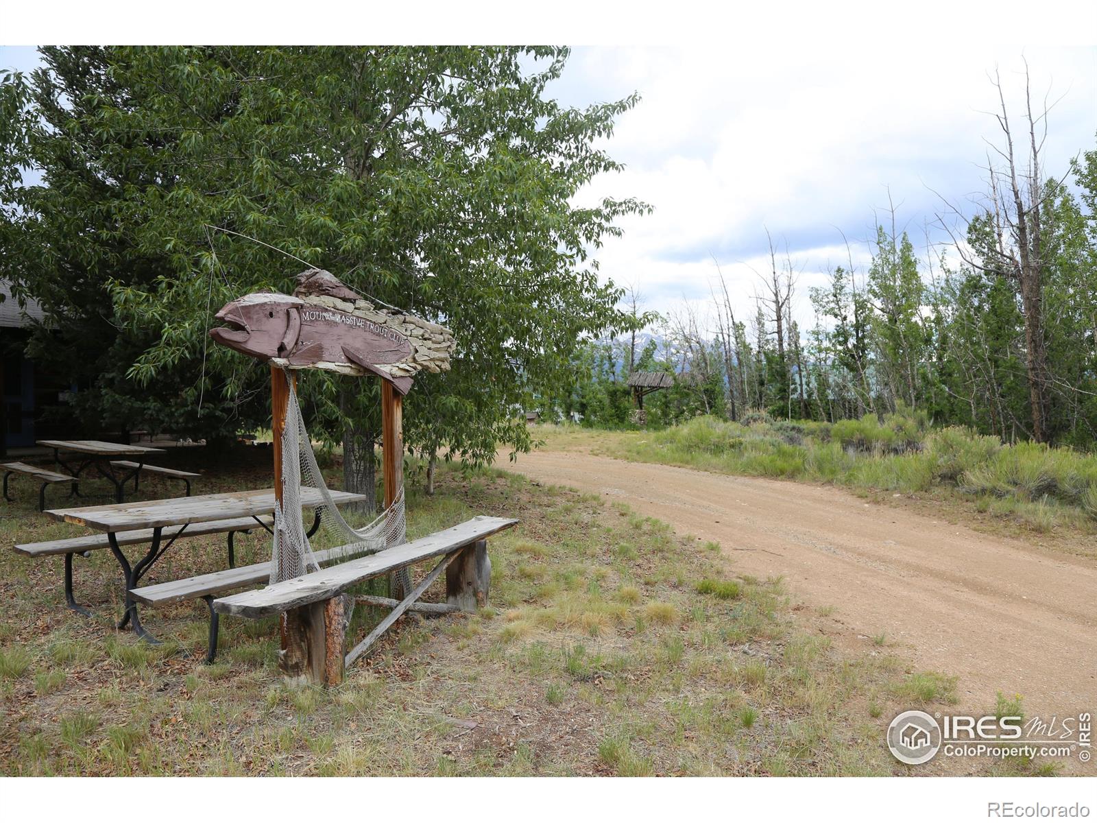 MLS Image #11 for 69  mt massive trout club ,leadville, Colorado