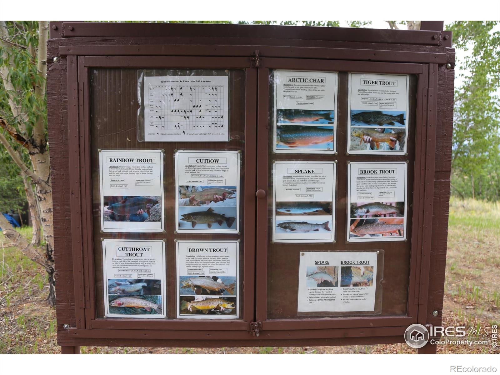 MLS Image #12 for 69  mt massive trout club ,leadville, Colorado
