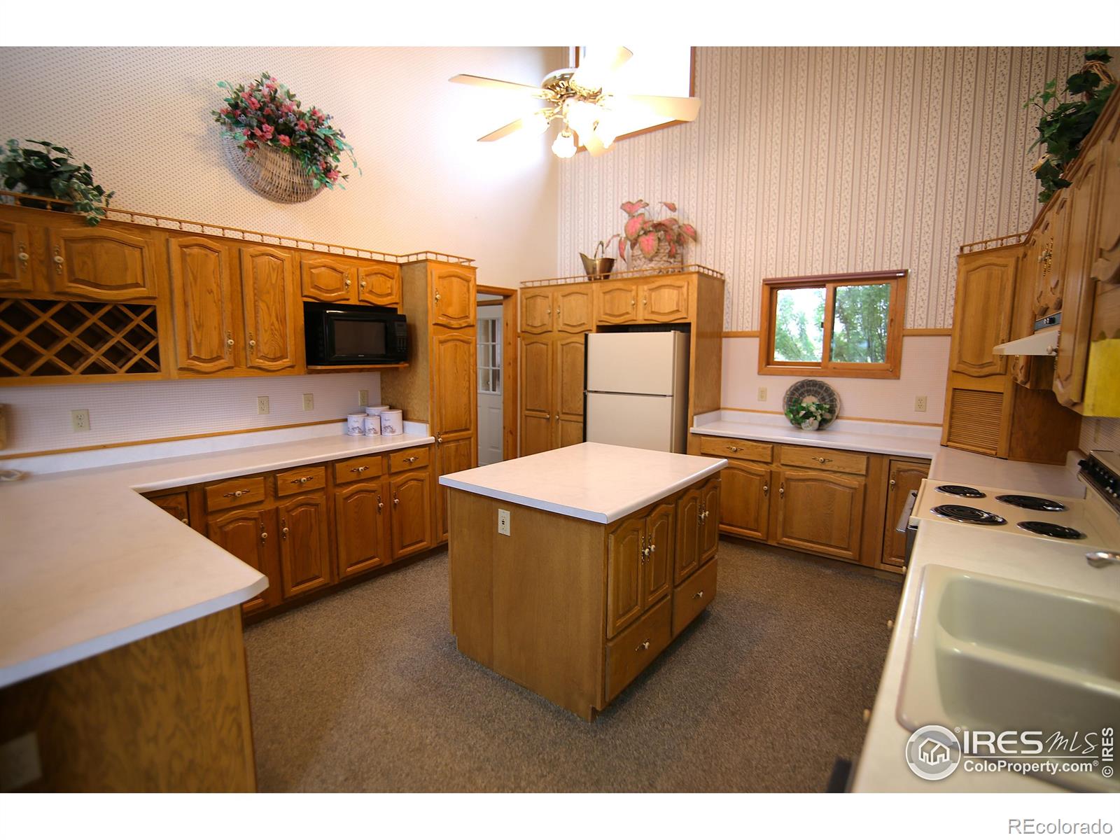 MLS Image #14 for 69  mt massive trout club ,leadville, Colorado