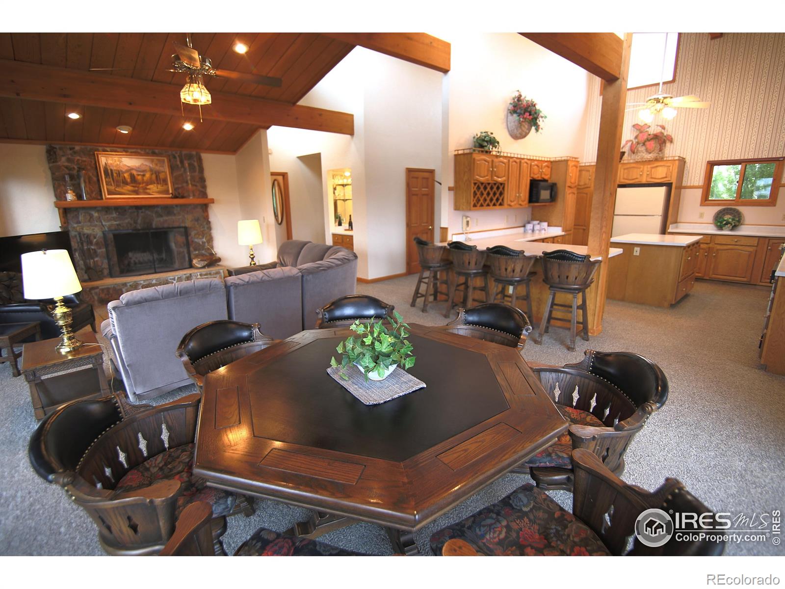 MLS Image #20 for 69  mt massive trout club ,leadville, Colorado