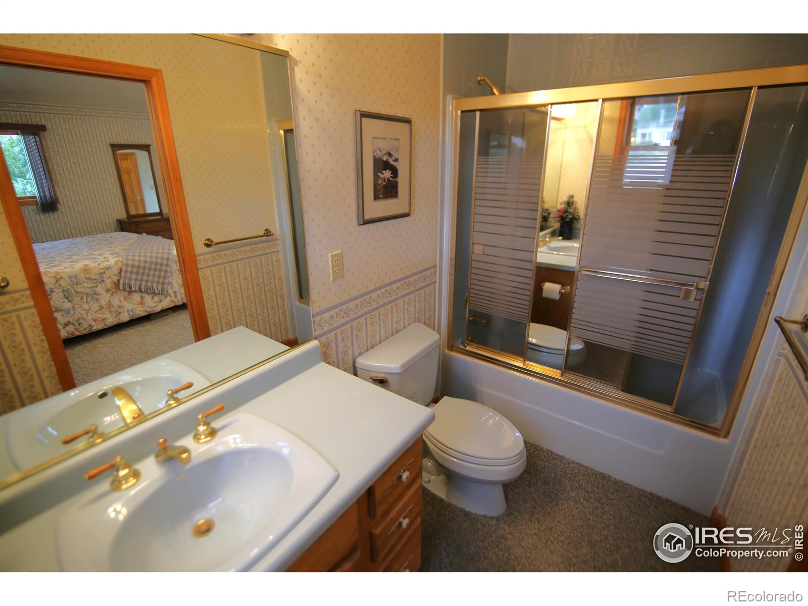 MLS Image #22 for 69  mt massive trout club ,leadville, Colorado