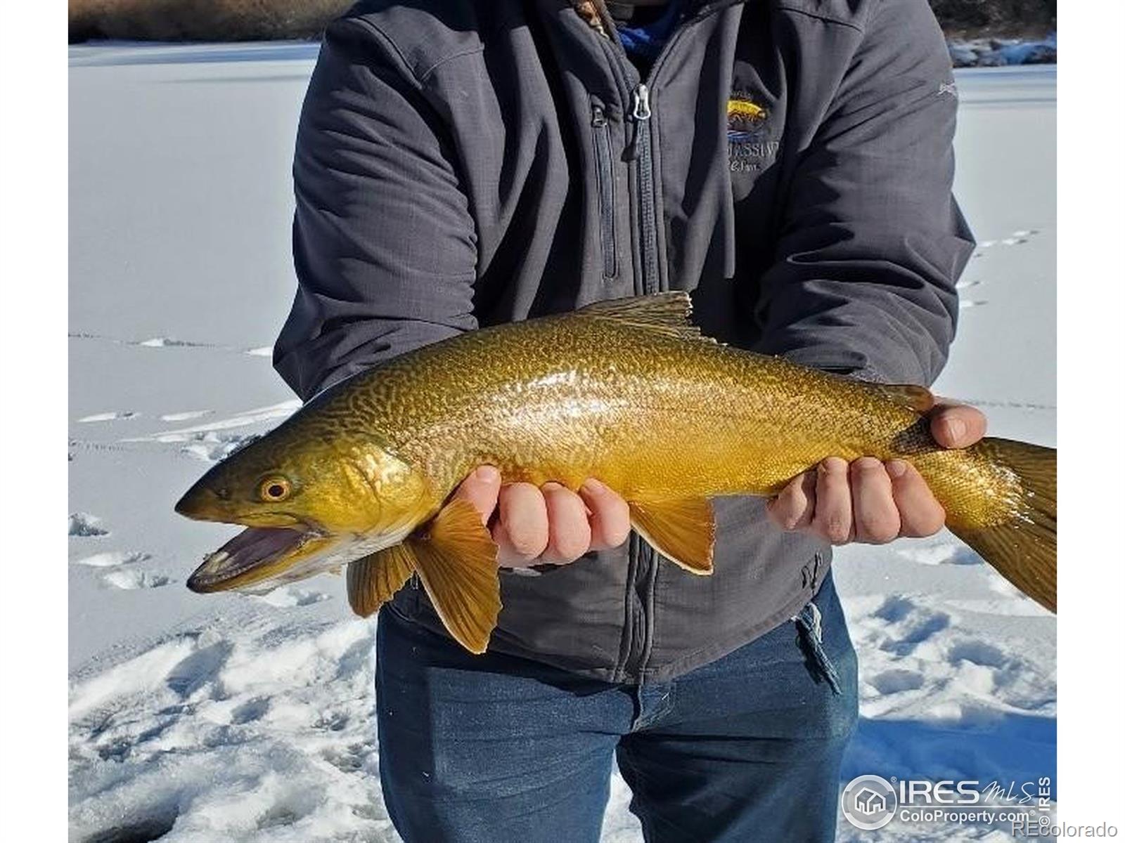 MLS Image #35 for 69  mt massive trout club ,leadville, Colorado