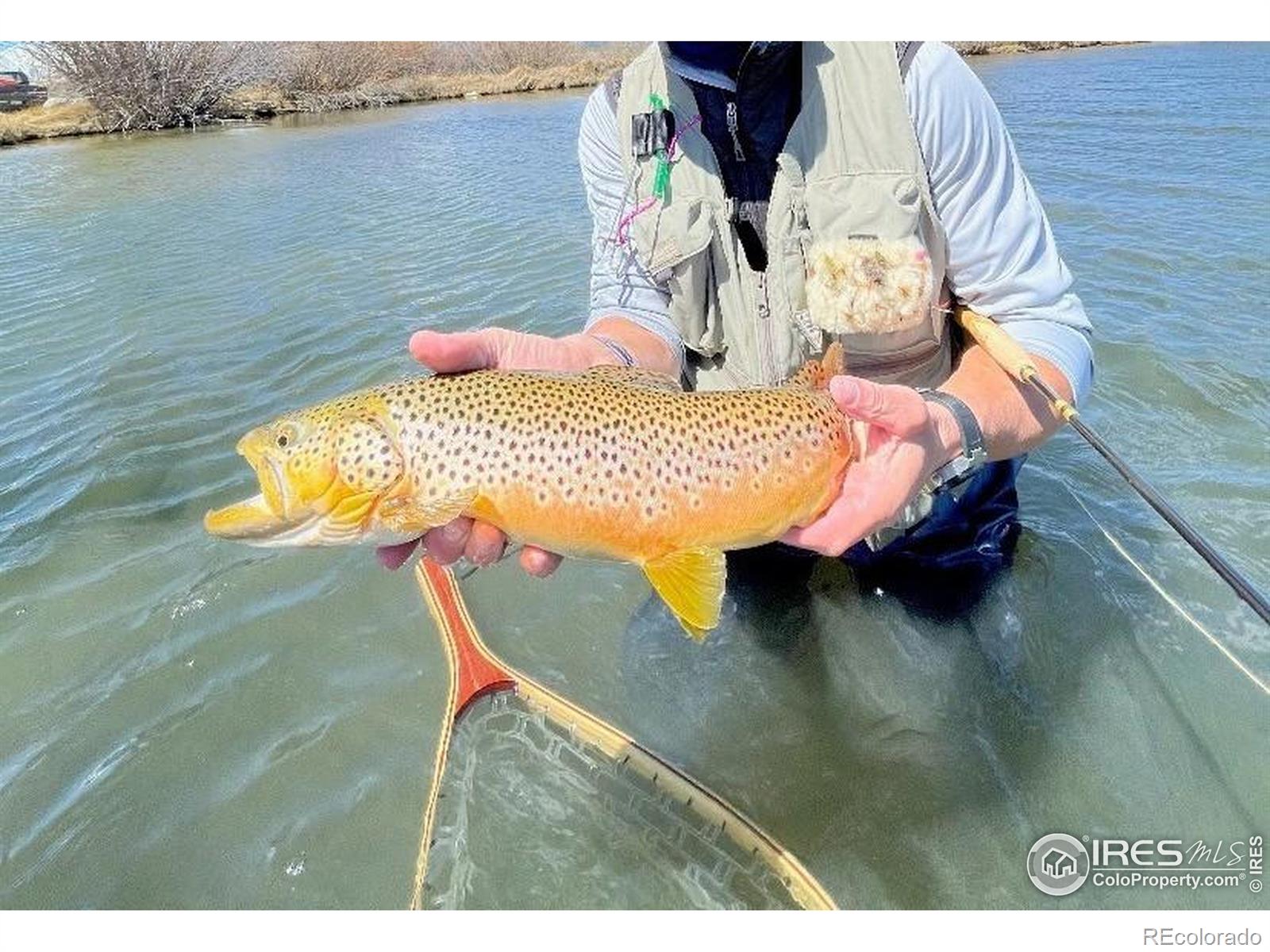 MLS Image #36 for 69  mt massive trout club ,leadville, Colorado