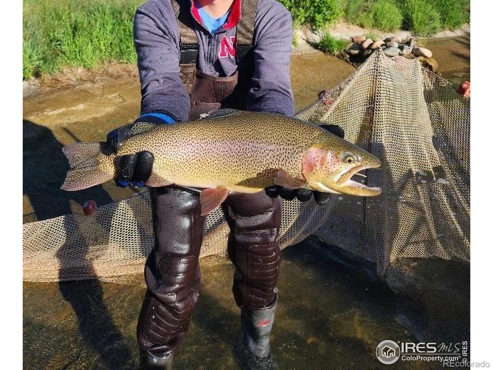 MLS Image #38 for 69  mt massive trout club ,leadville, Colorado