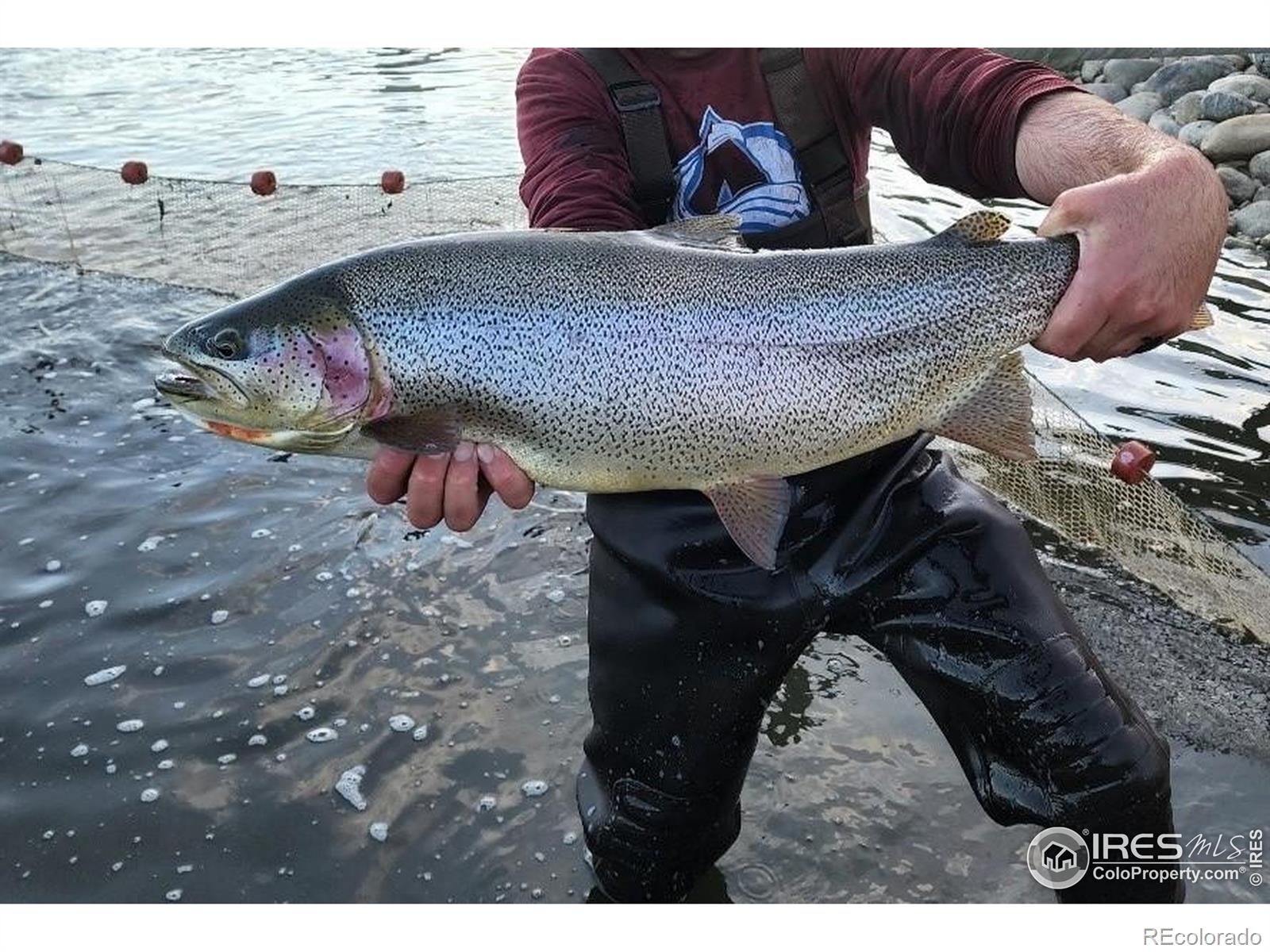 MLS Image #6 for 69  mt massive trout club ,leadville, Colorado