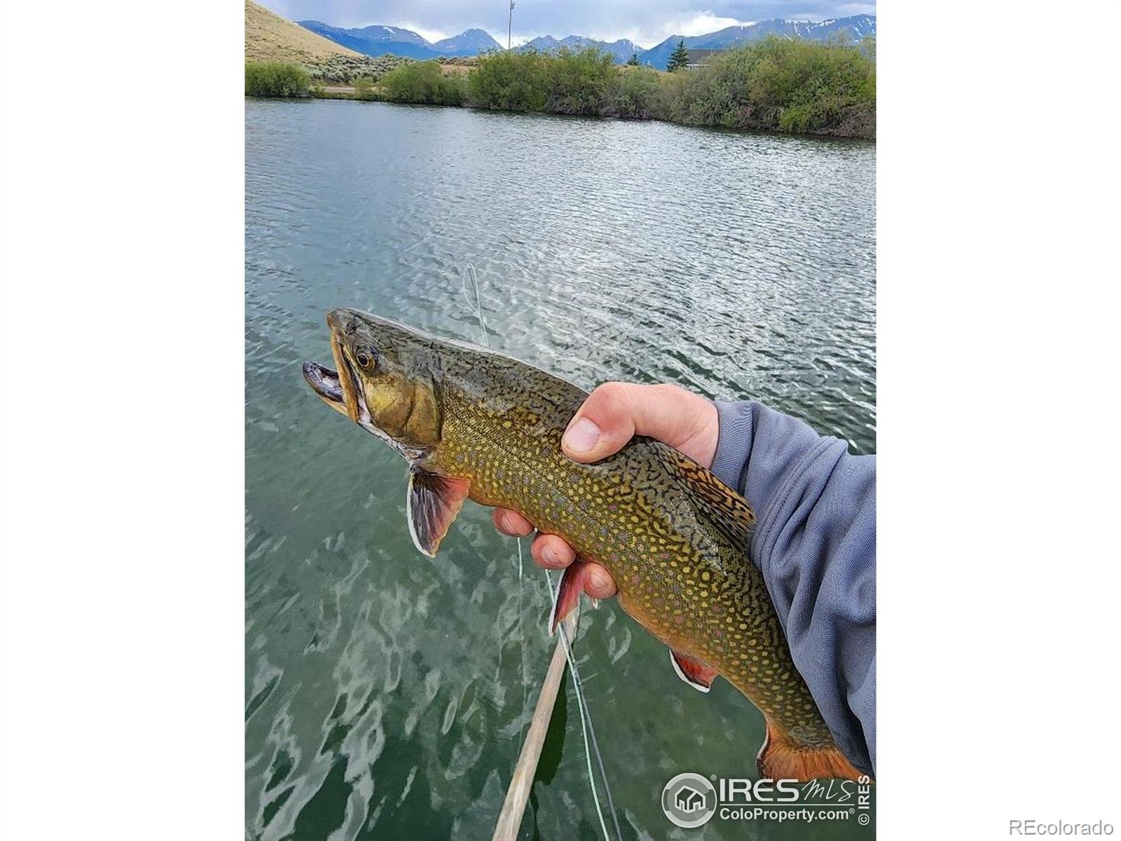 MLS Image #8 for 69  mt massive trout club ,leadville, Colorado