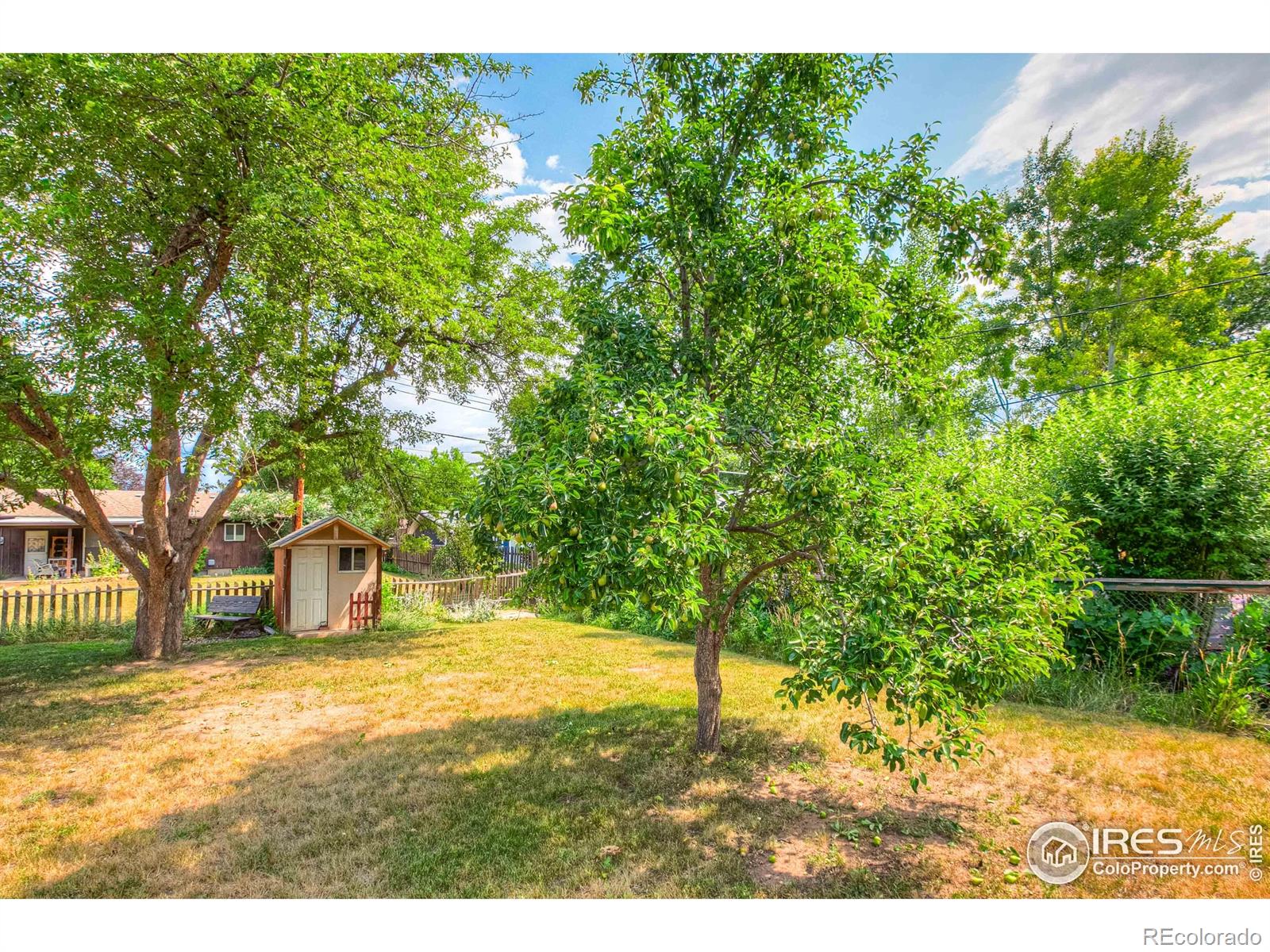 MLS Image #3 for 1801 w 22nd street,loveland, Colorado