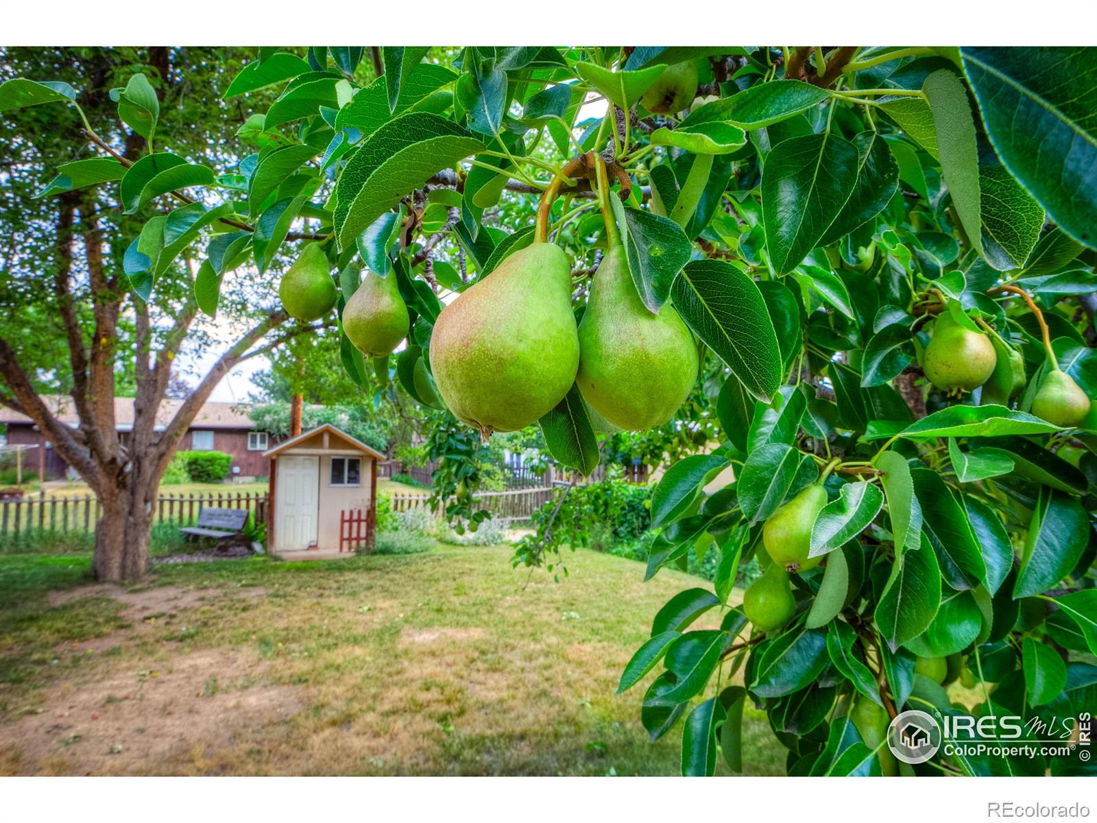 MLS Image #4 for 1801 w 22nd street,loveland, Colorado