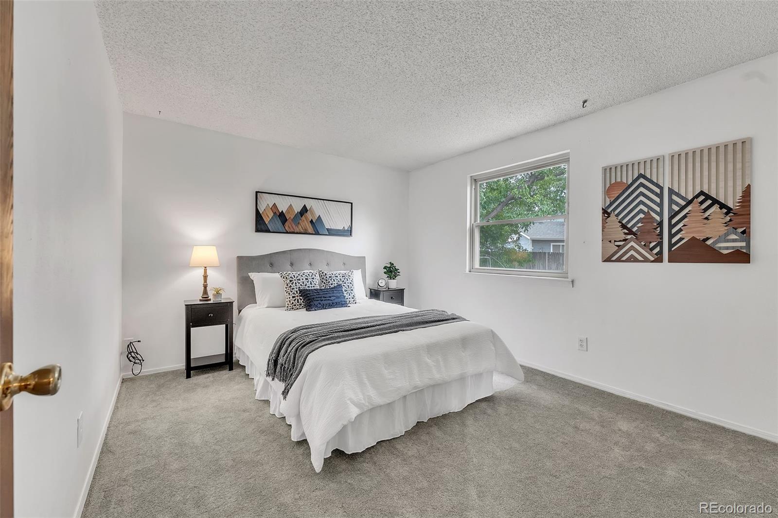 MLS Image #13 for 8479  rabbitbrush way,parker, Colorado
