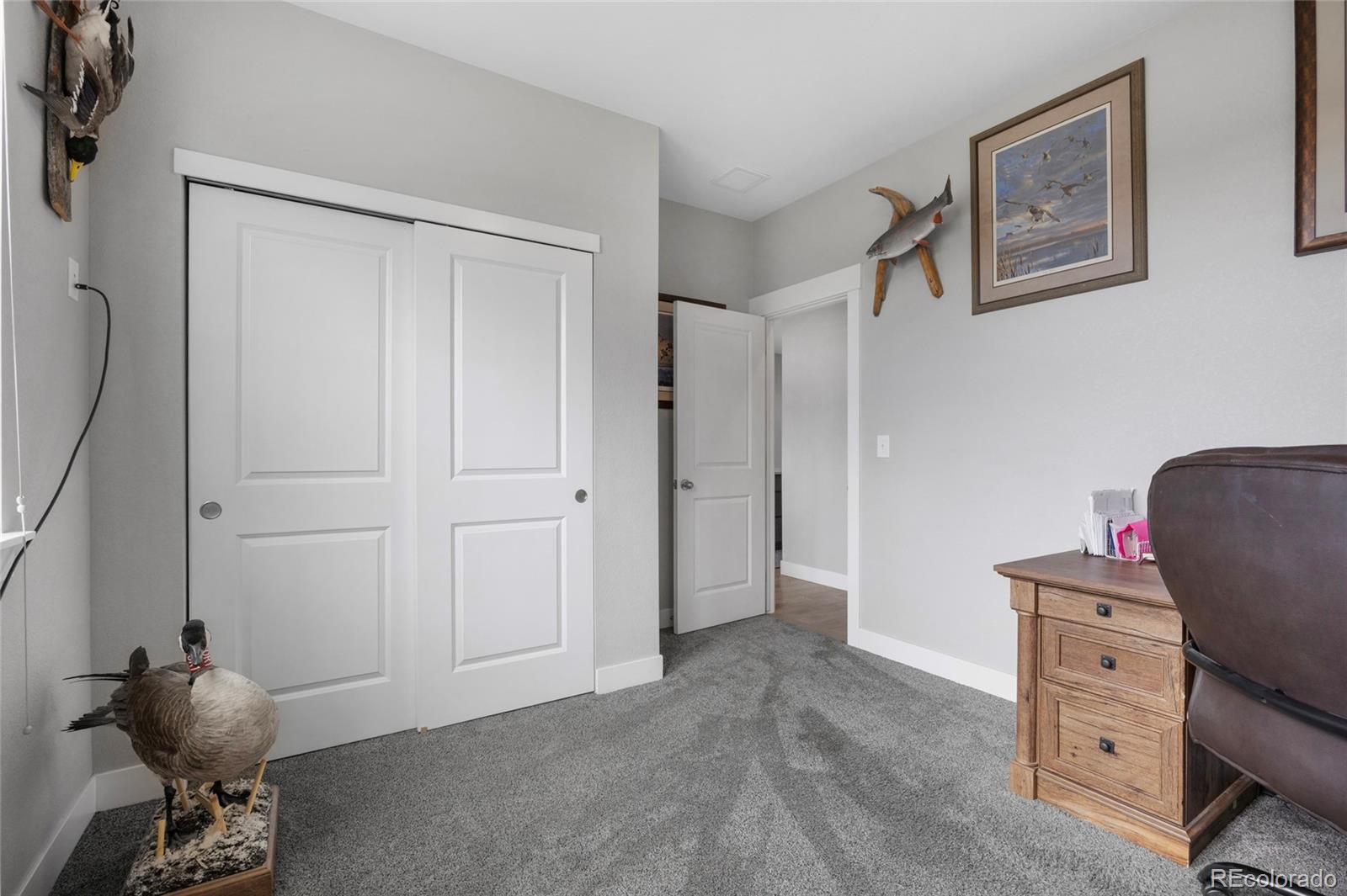 MLS Image #20 for 31501 e 161st court,hudson, Colorado
