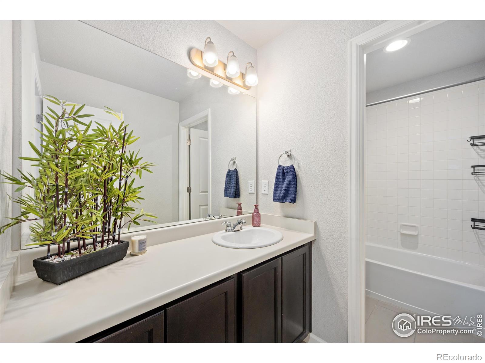 MLS Image #11 for 3068  aries drive,loveland, Colorado