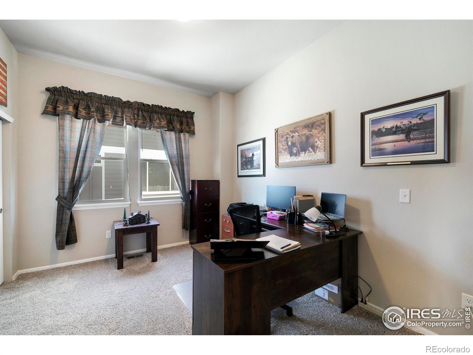 MLS Image #17 for 1210  muskox street,severance, Colorado