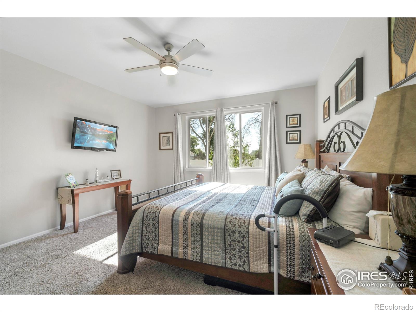 MLS Image #22 for 1210  muskox street,severance, Colorado