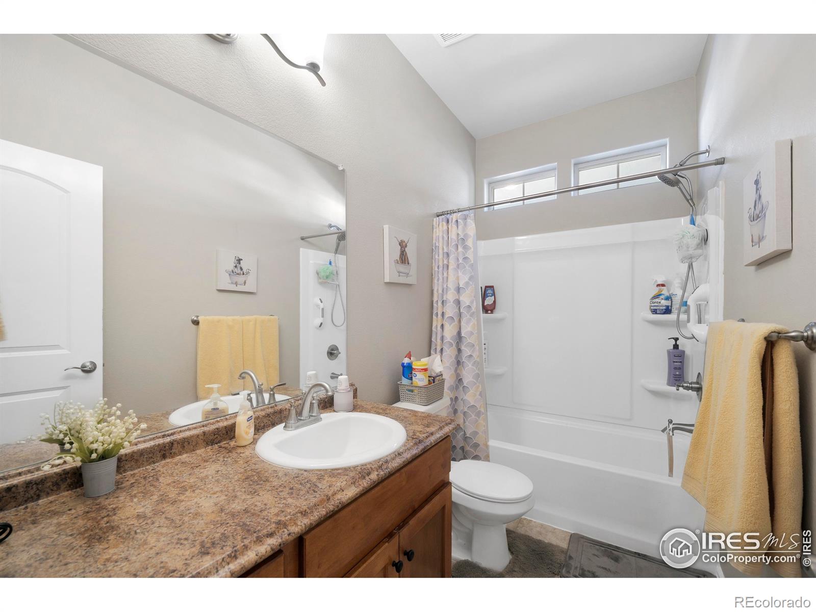 MLS Image #26 for 1210  muskox street,severance, Colorado