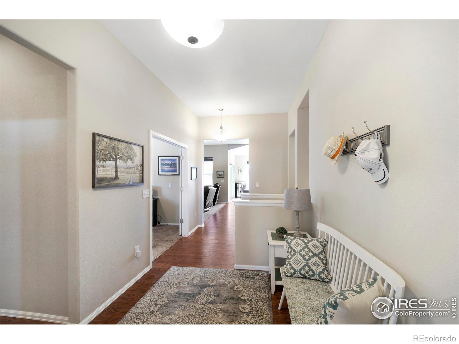 MLS Image #4 for 1210  muskox street,severance, Colorado
