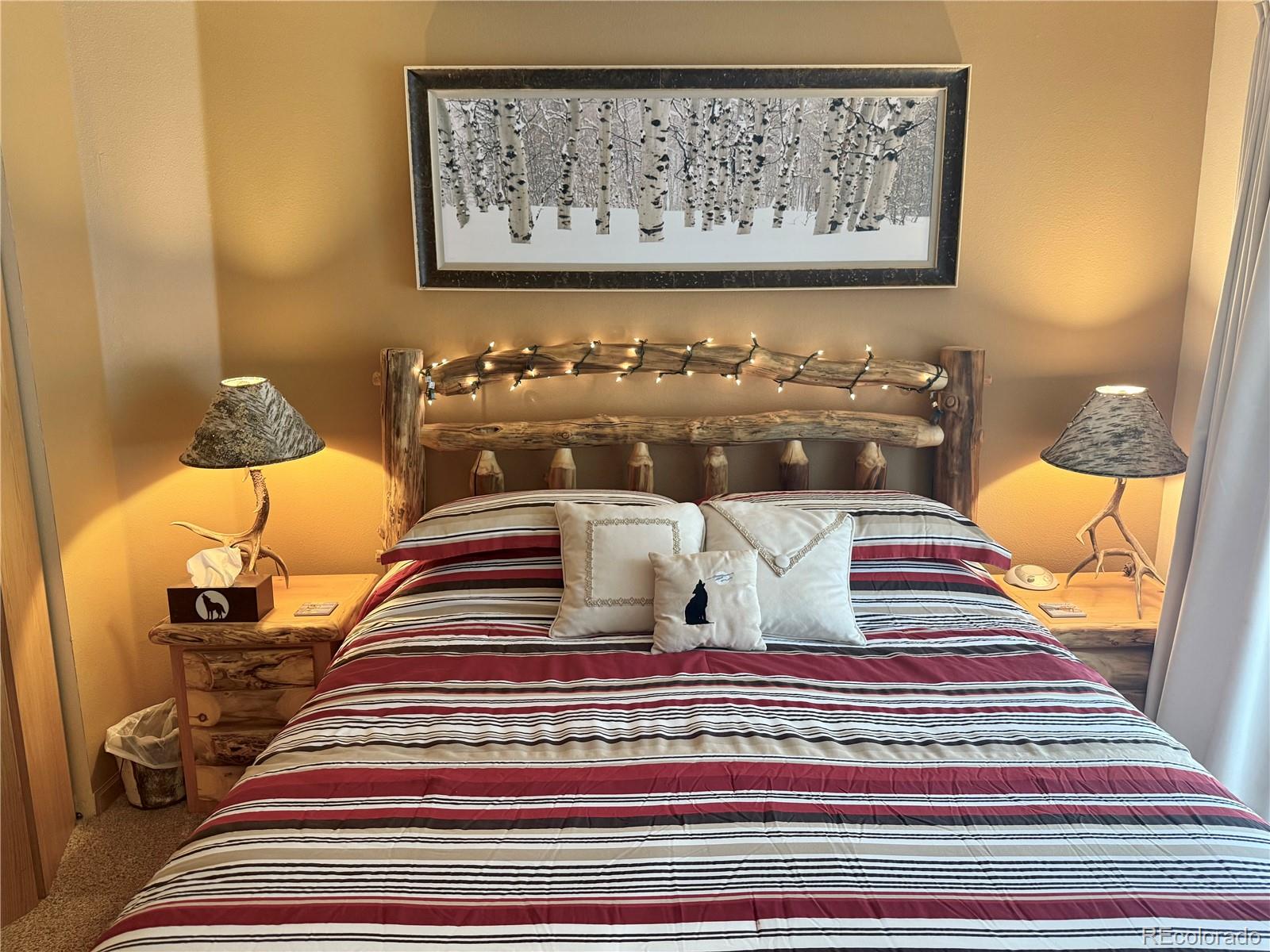 MLS Image #13 for 100 s park avenue,breckenridge, Colorado