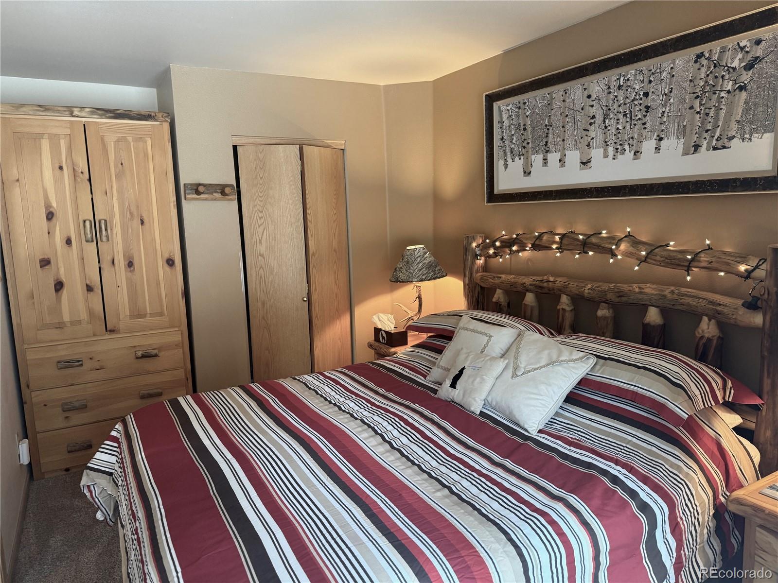 MLS Image #14 for 100 s park avenue,breckenridge, Colorado