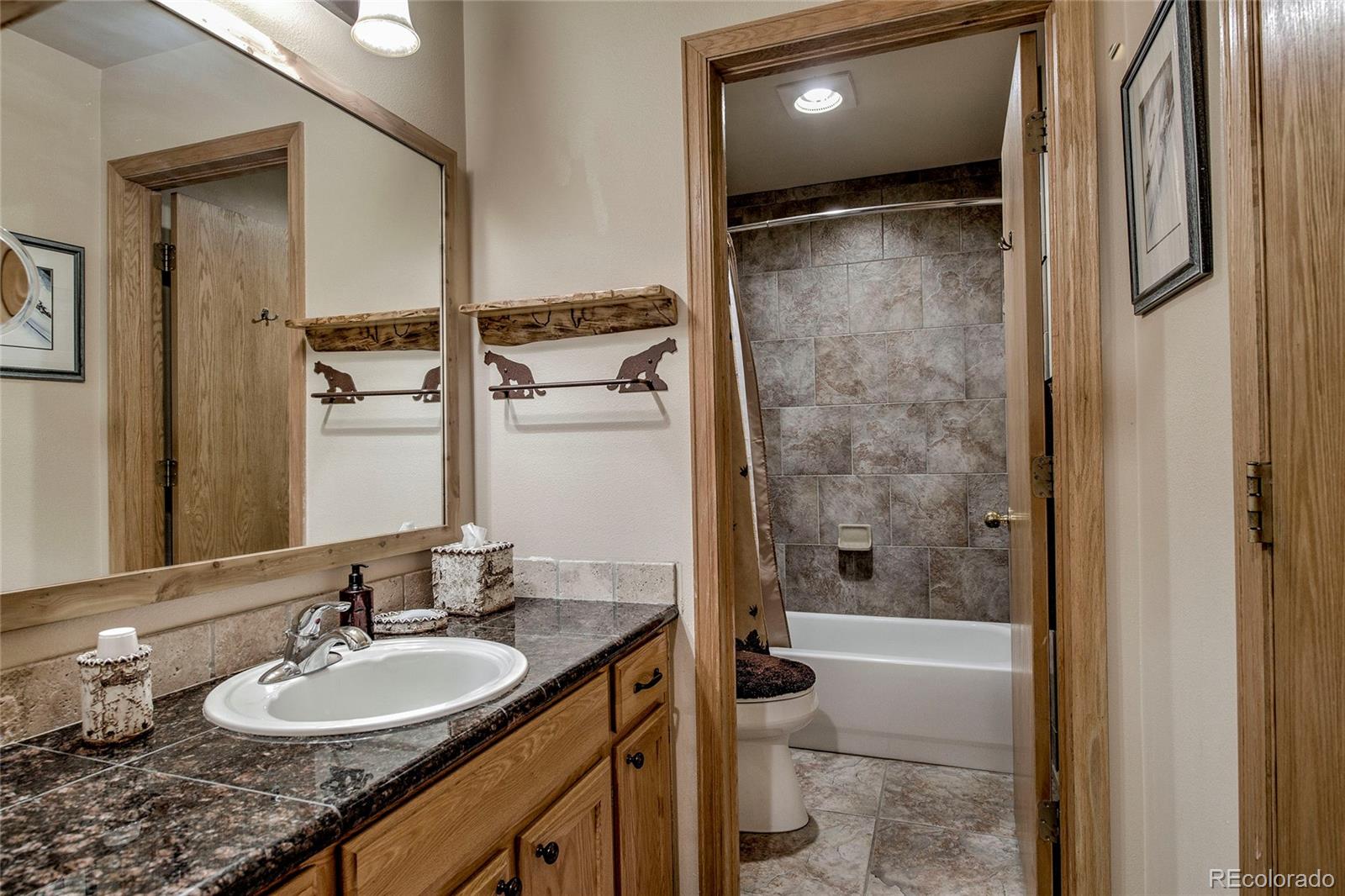 MLS Image #15 for 100 s park avenue,breckenridge, Colorado