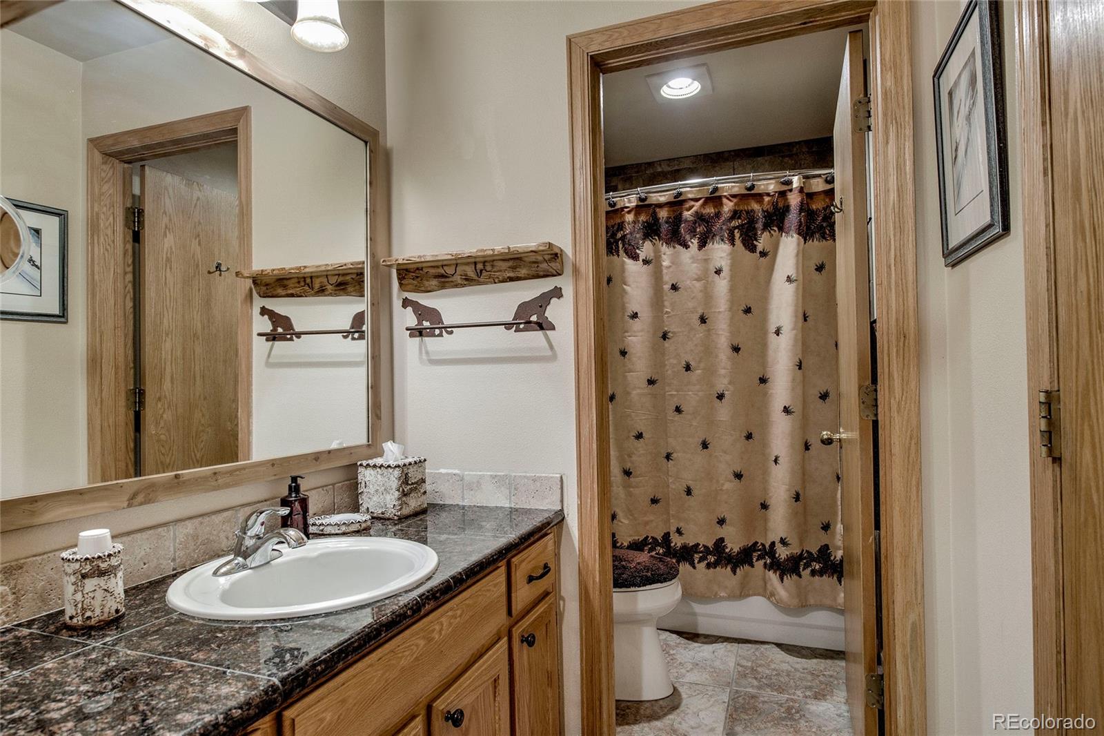 MLS Image #16 for 100 s park avenue,breckenridge, Colorado