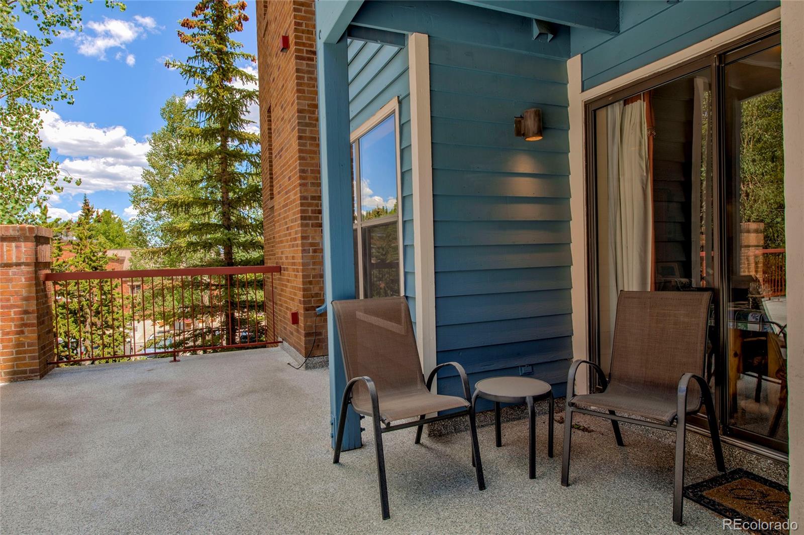 MLS Image #22 for 100 s park avenue,breckenridge, Colorado