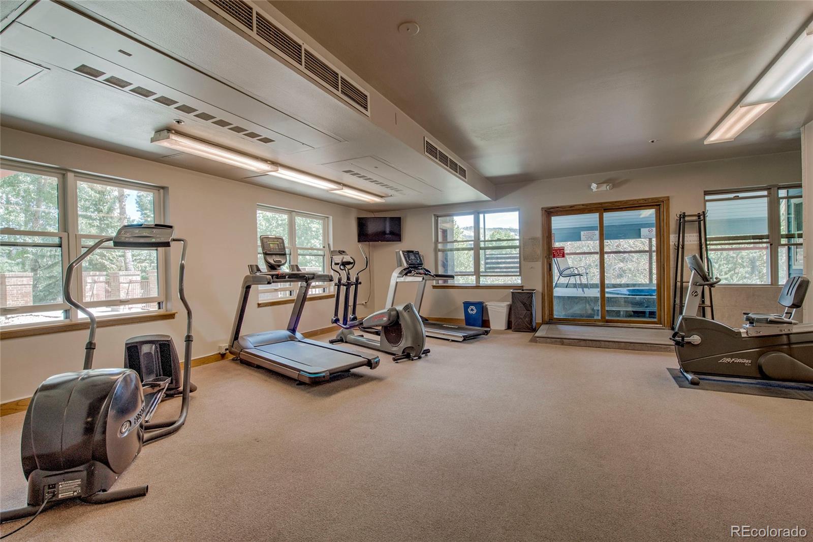 MLS Image #30 for 100 s park avenue,breckenridge, Colorado