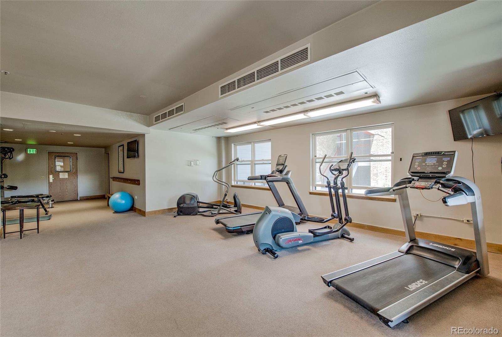 MLS Image #31 for 100 s park avenue,breckenridge, Colorado