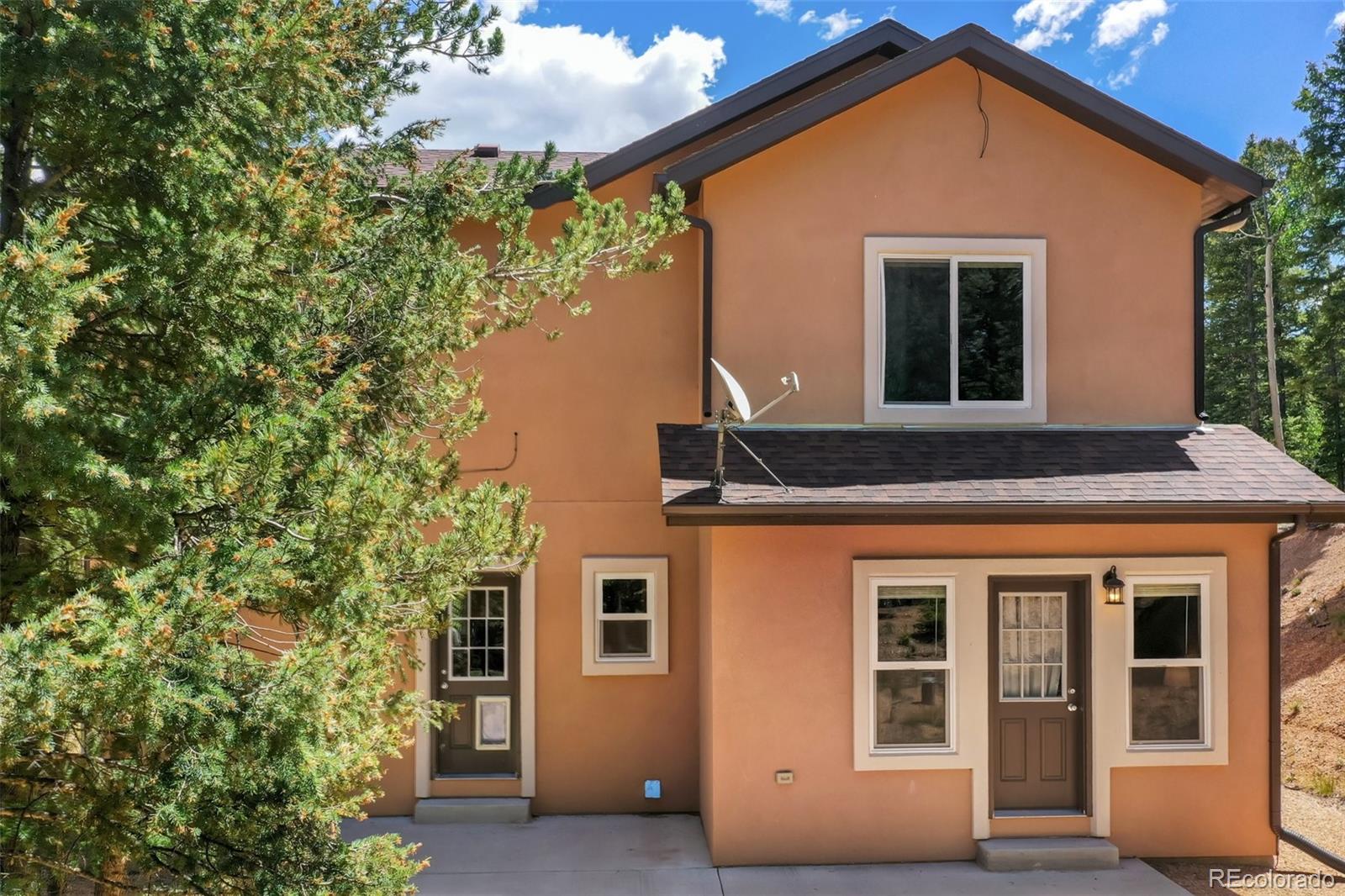 MLS Image #0 for 71  mt elbert drive,florissant, Colorado
