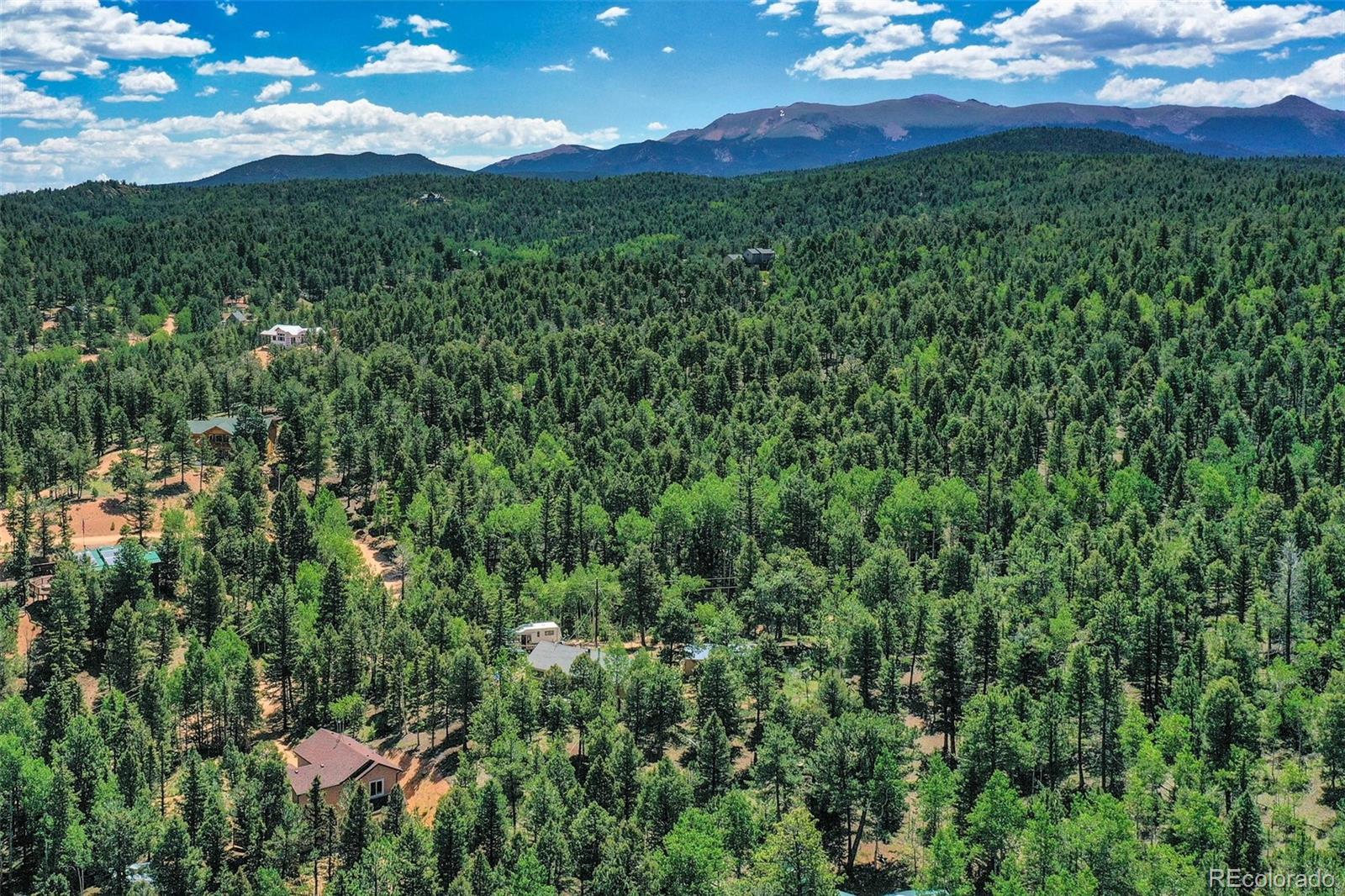 MLS Image #10 for 71  mt elbert drive,florissant, Colorado