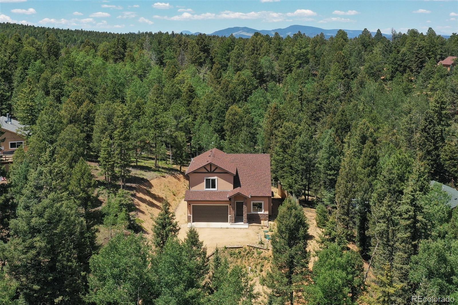 MLS Image #3 for 71  mt elbert drive,florissant, Colorado