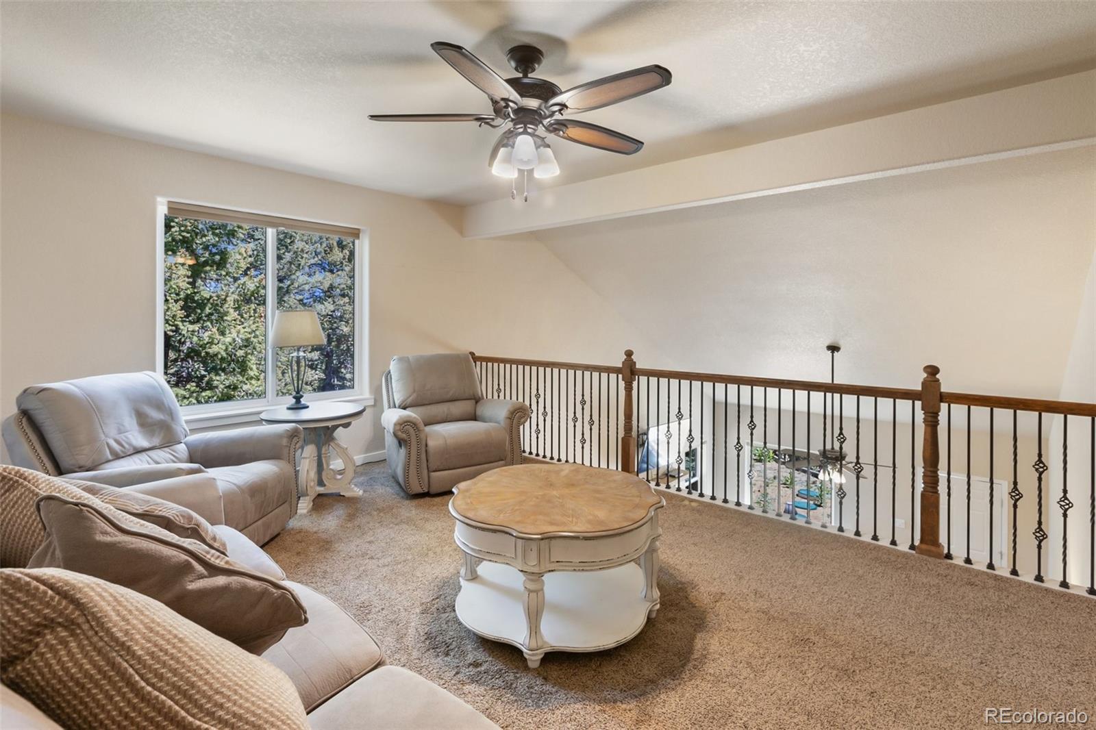 MLS Image #36 for 71  mt elbert drive,florissant, Colorado