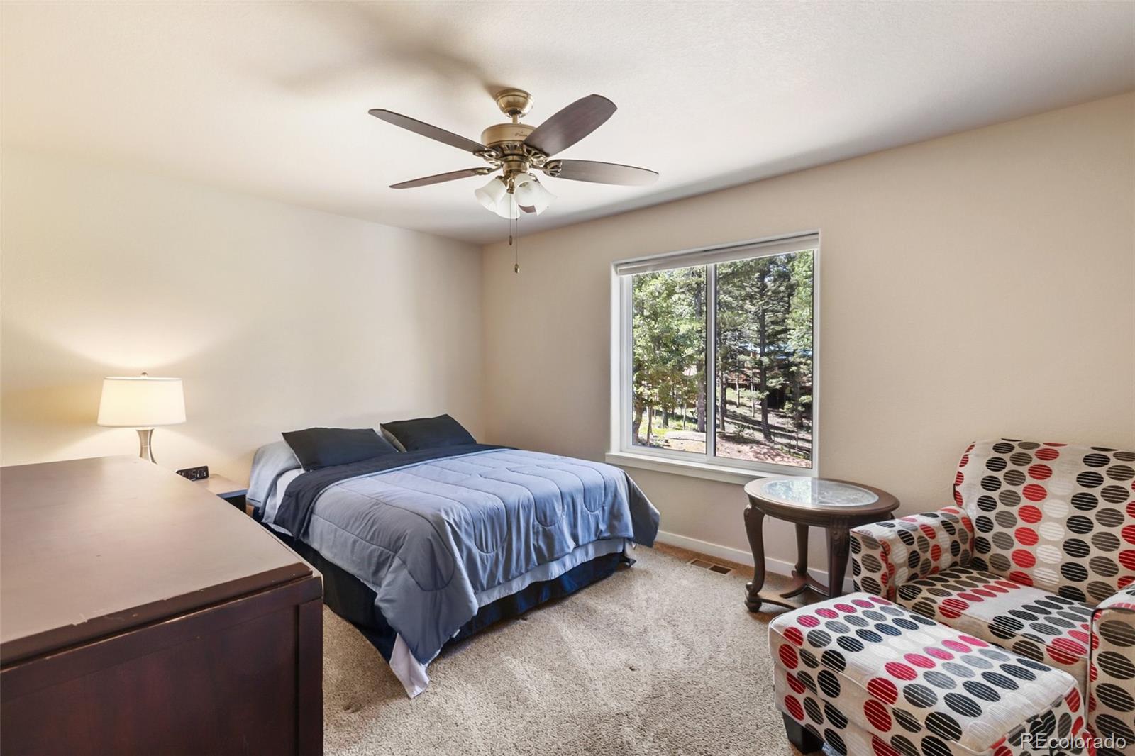 MLS Image #44 for 71  mt elbert drive,florissant, Colorado