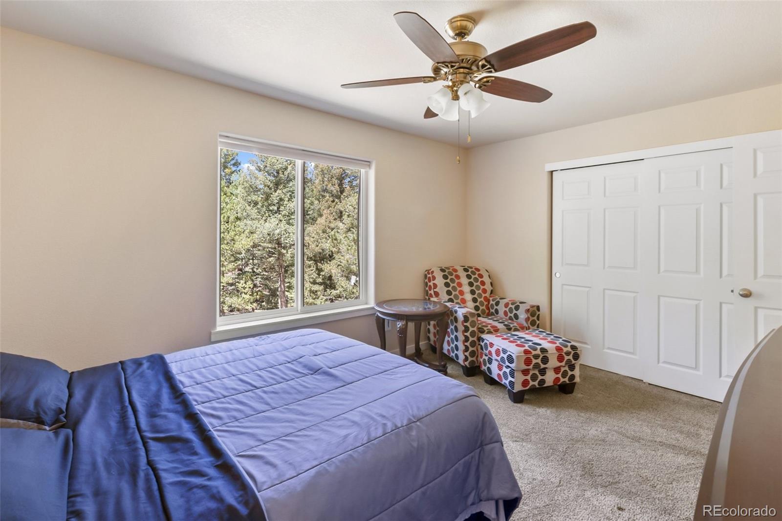 MLS Image #45 for 71  mt elbert drive,florissant, Colorado