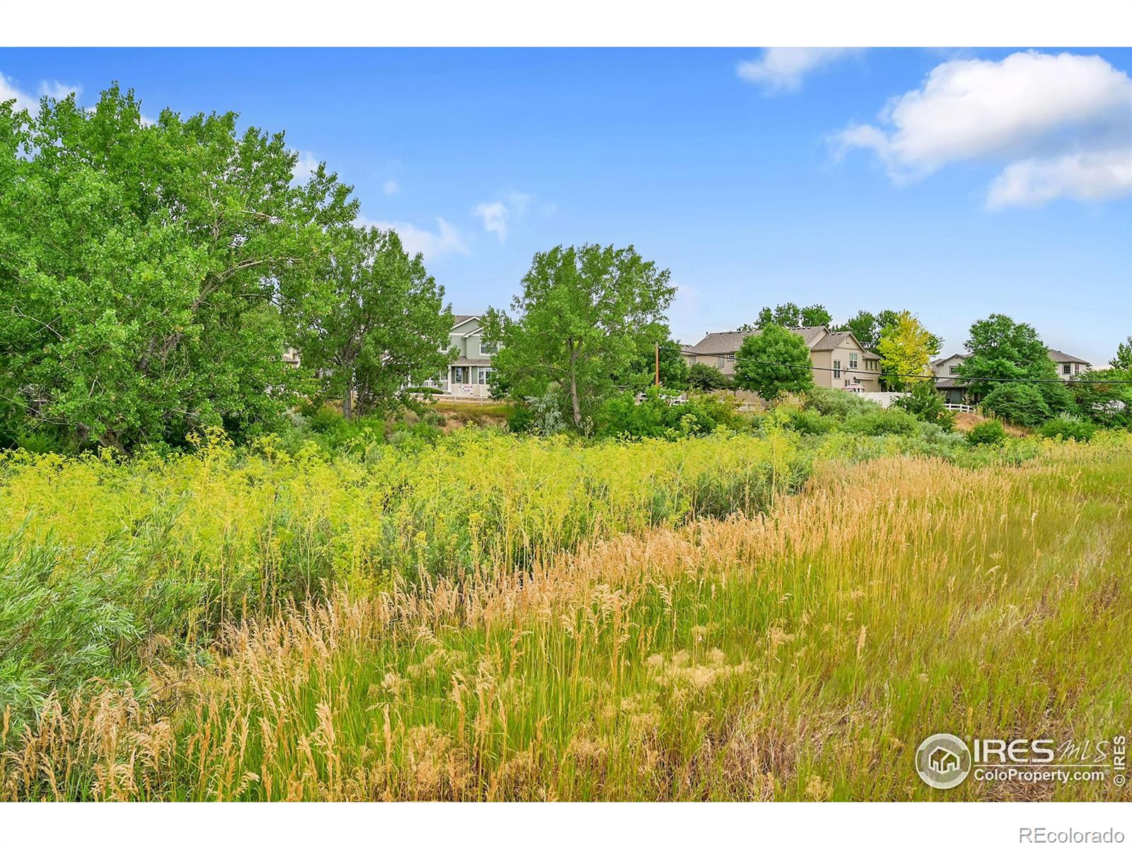 MLS Image #5 for 9266 w 107th lane,broomfield, Colorado