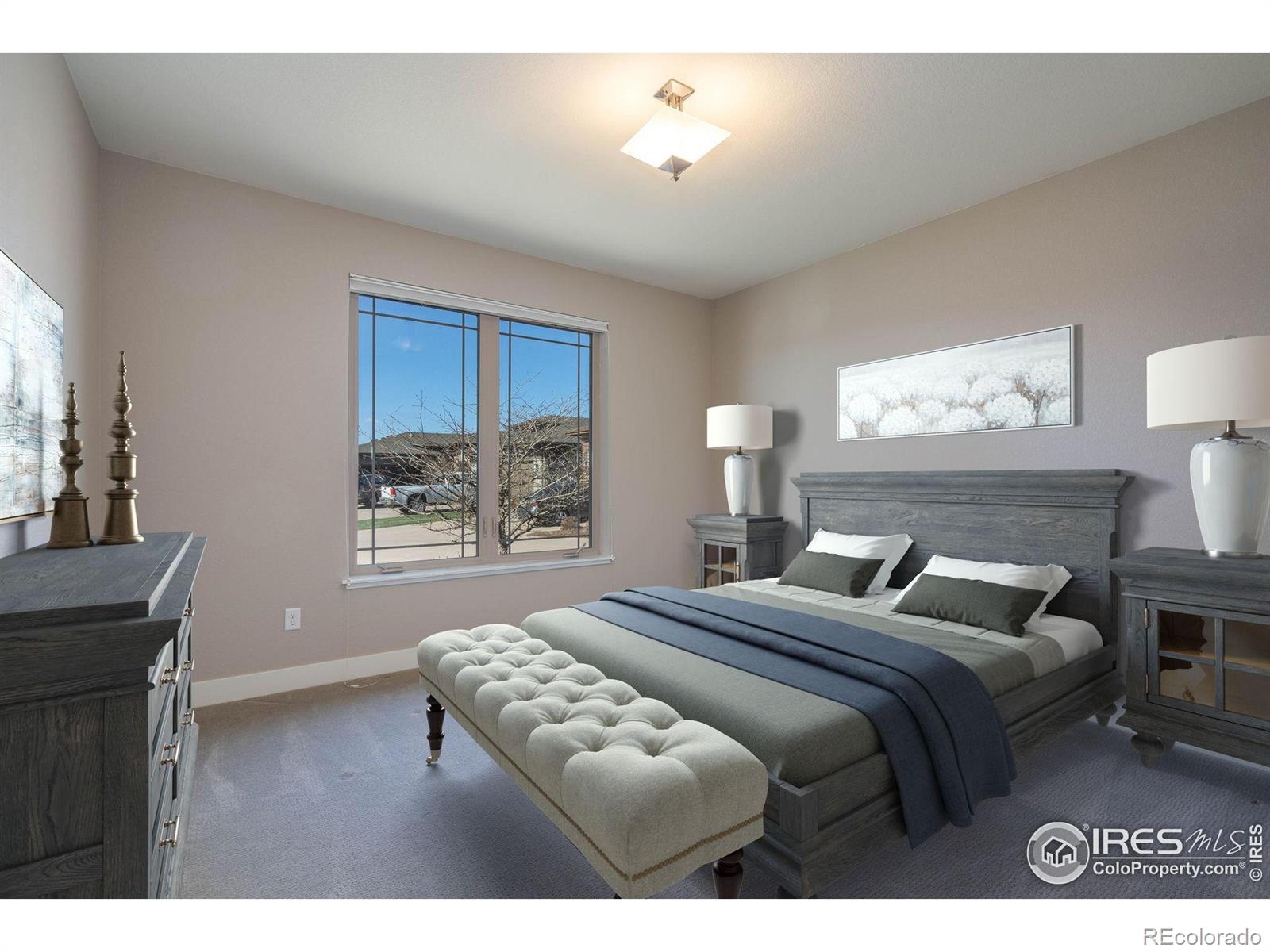 MLS Image #11 for 6928  summerwind court,timnath, Colorado